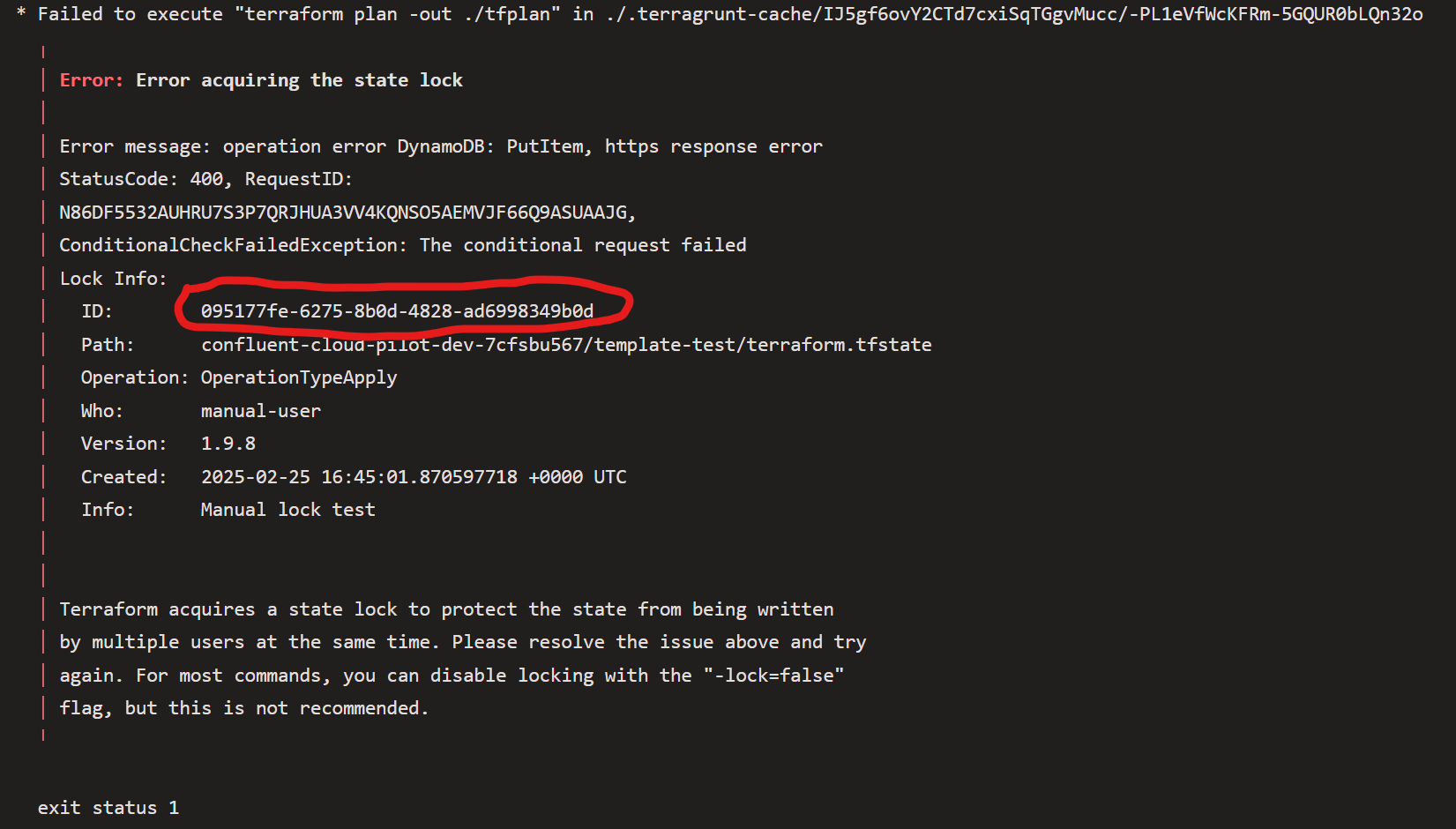Terraform State Lock Error